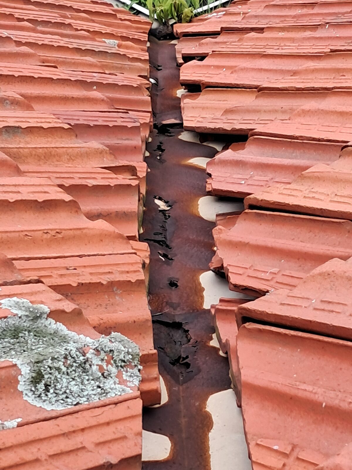 Side view of completed re-roof