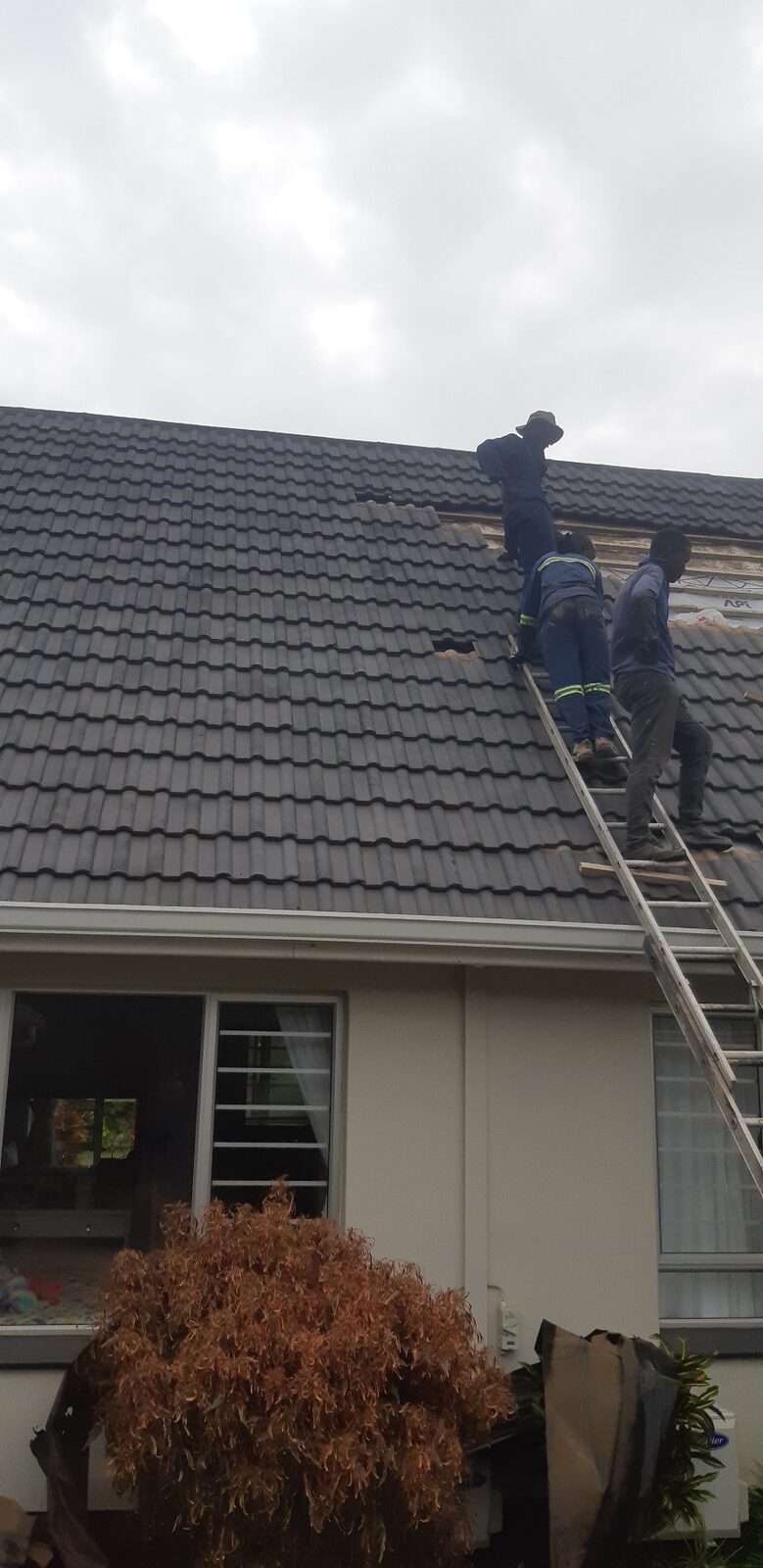 Crew installing IBR sheeting