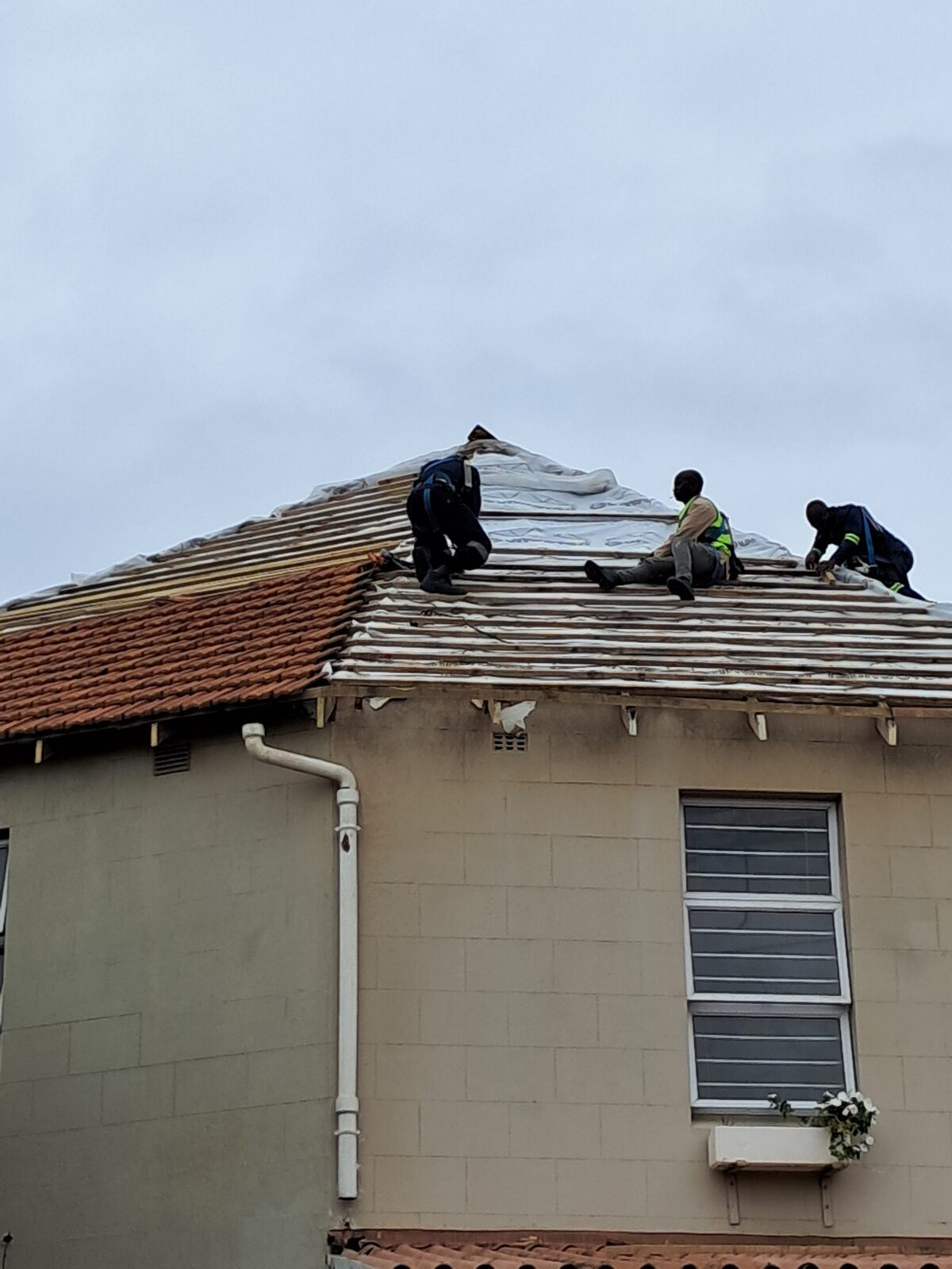 Commercial shopfront — exterior maintenance